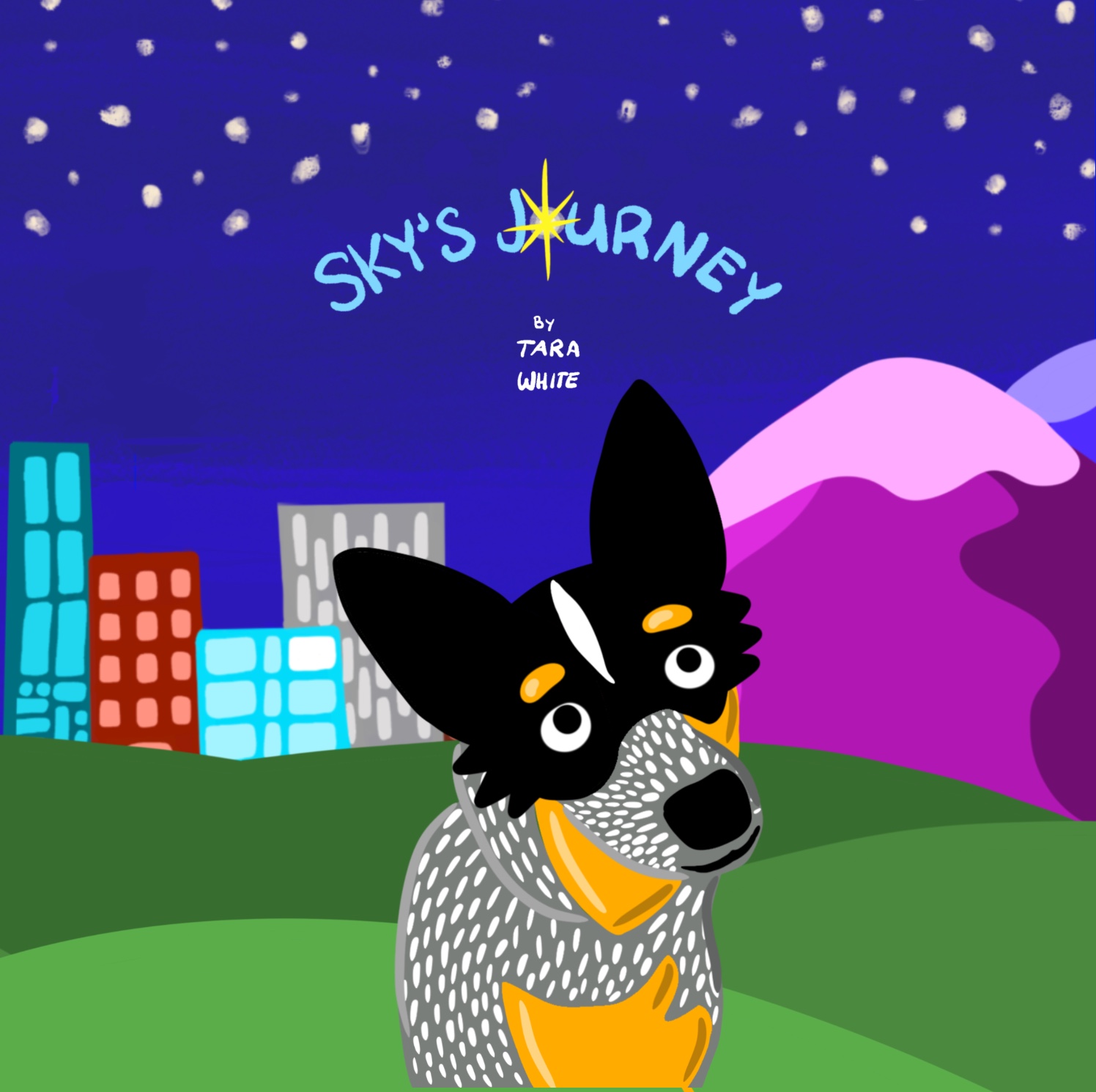Sky's Journey Cover Art